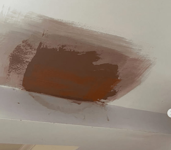Plastering Frankston
